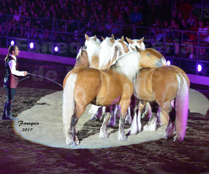 Féria de BEZIERS 2017 - Spectacle "Nuits Equestres" - 6