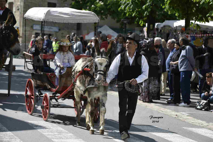 Défilé de calèches de 1900 dans les rues de Villeneuve d'Aveyron le 15 mai 2016 - Attelage simple d'un âne pie - 2
