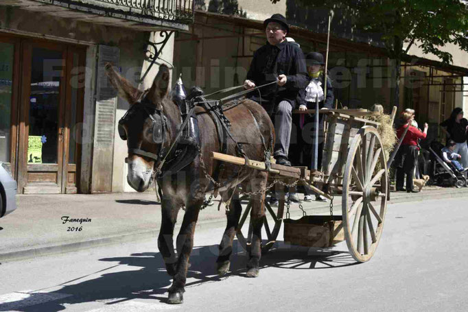 Défilé de calèches de 1900 dans les rues de Villeneuve d'Aveyron le 15 mai 2016 - Attelage simple d'un âne grand - 4
