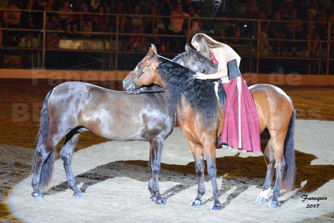 Féria de BEZIERS 2017 - Spectacle "Nuits Equestres" - 4