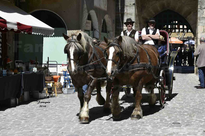 Défilé de calèches de 1900 dans les rues de Villeneuve d'Aveyron le 15 mai 2016 - Attelage en paire chevaux lourds - calèche 4 roues vis à vis - 6