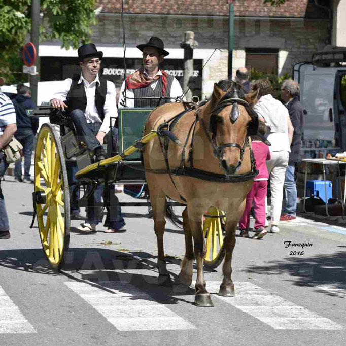 Défilé de calèches de 1900 dans les rues de Villeneuve d'Aveyron le 15 mai 2016 - Attelage simple de poney - calèche 2 roues - 3