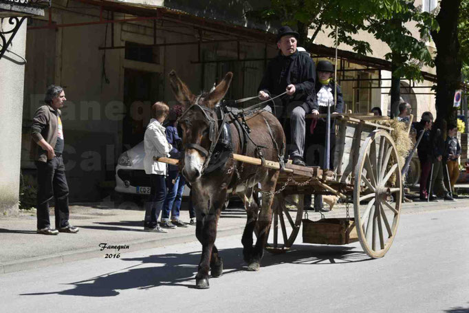 Défilé de calèches de 1900 dans les rues de Villeneuve d'Aveyron le 15 mai 2016 - Attelage simple d'un âne grand - 2