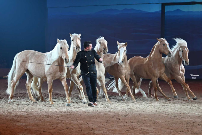 CHEVAL PASSION 2025 - Spectacle des Crinières d'OR - Vincent LIBERATOR