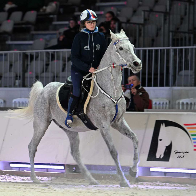CHEVAL PASSION 2025 - Show d'Elevages - chevaux ARABES d'Endurance