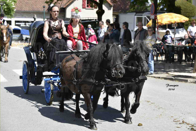 Défilé de calèches de 1900 dans les rues de Villeneuve d'Aveyron le 15 mai 2016 - Attelage paire de petit poneys Shetland - 4