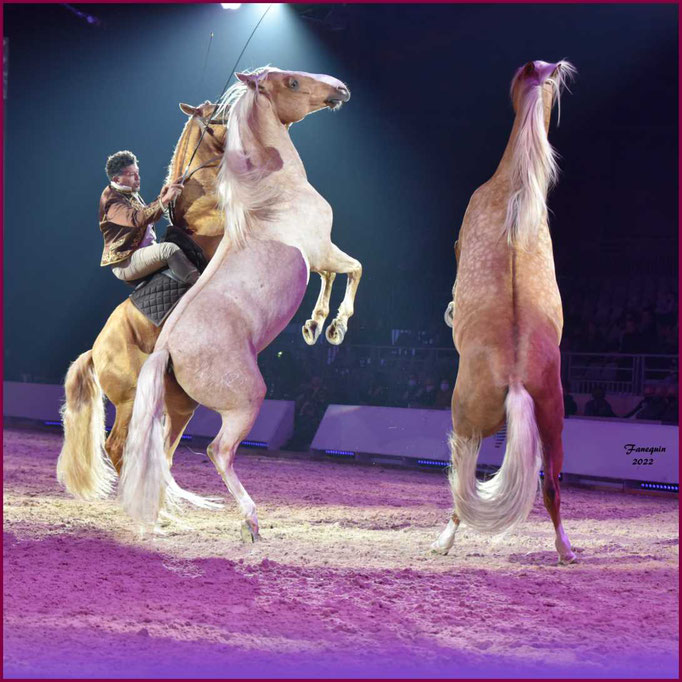 CHEVAL PASSION 2022 - Spectacle les Crinières d'OR - Gari ZOHER