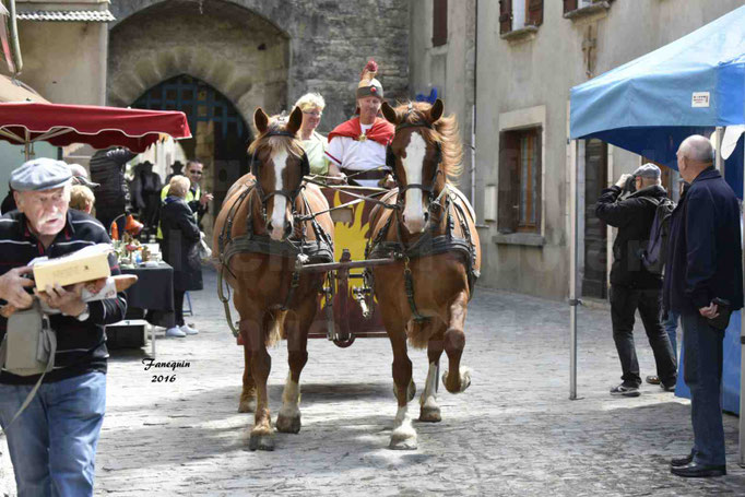 Défilé de calèches de 1900 dans les rues de Villeneuve d'Aveyron le 15 mai 2016 - Attelage en paire chevaux Trotteur - calèche 4 roues - 3