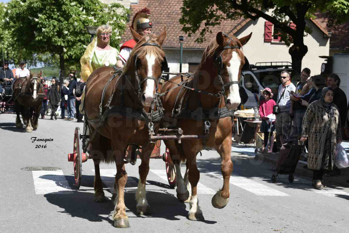 Défilé de calèches de 1900 dans les rues de Villeneuve d'Aveyron le 15 mai 2016 - Attelage en paire chevaux Trotteur - calèche 4 roues - 5