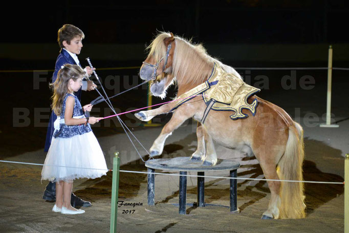 Féria de BEZIERS 2017 - Spectacle "Nuits Equestres" - 1