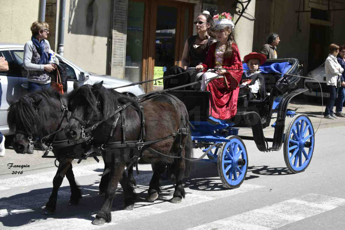 Défilé de calèches de 1900 dans les rues de Villeneuve d'Aveyron le 15 mai 2016 - Attelage paire de petit poneys Shetland - 6
