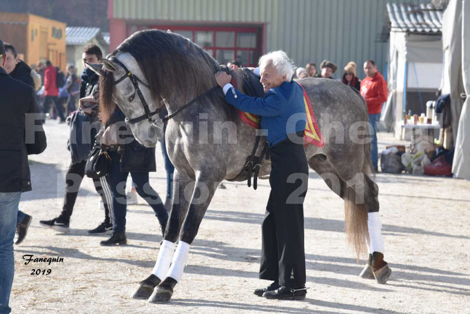 Cheval Passion 2019 - LA FINCA SAINT GILLES - Mr Alain LAUZIER - 01