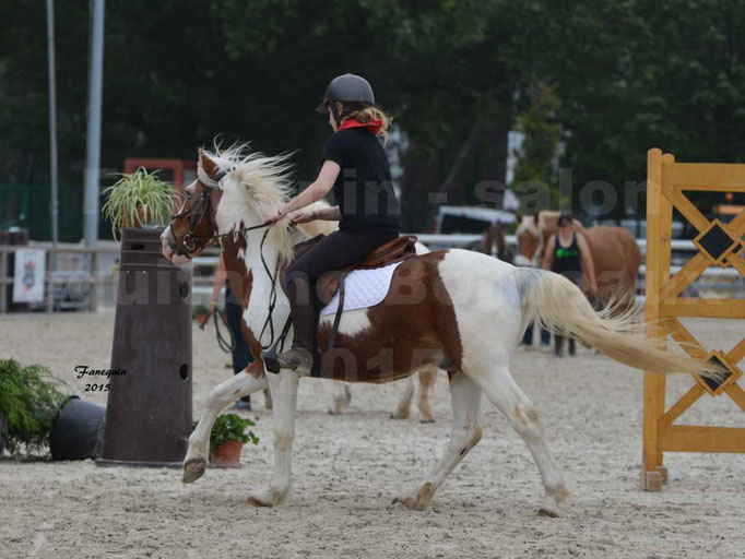 Salon équitaine de Bordeaux 2015 - Présentation poney POTTOK Monté