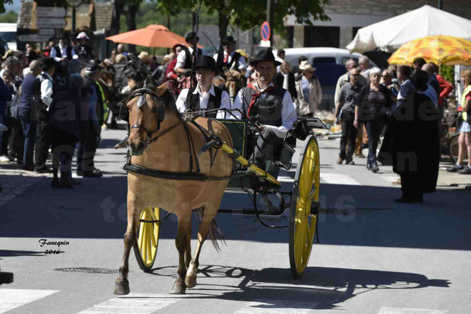 Défilé de calèches de 1900 dans les rues de Villeneuve d'Aveyron le 15 mai 2016 - Attelage simple de poney - calèche 2 roues - 6