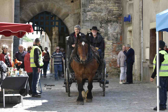 Défilé de calèches de 1900 dans les rues de Villeneuve d'Aveyron le 15 mai 2016 - Attelage simple de cheval lourd - calèche 4 roues roues fermé - 2