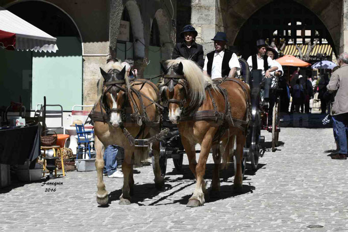 Défilé de calèches de 1900 dans les rues de Villeneuve d'Aveyron le 15 mai 2016 - Attelage en paire chevaux lourds - calèche 4 roues - 6