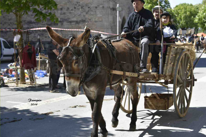 Défilé de calèches de 1900 dans les rues de Villeneuve d'Aveyron le 15 mai 2016 - Attelage simple d'un âne grand - 5