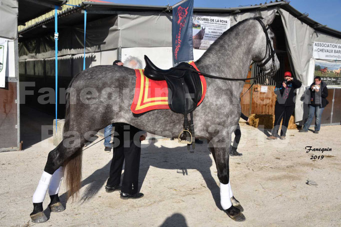Cheval Passion 2019 - LA FINCA SAINT GILLES - Mr Alain LAUZIER - 05