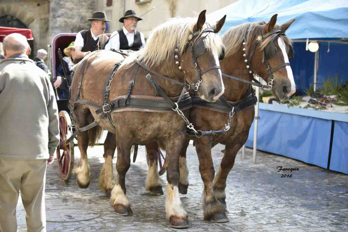 Défilé de calèches de 1900 dans les rues de Villeneuve d'Aveyron le 15 mai 2016 - Attelage en paire chevaux lourds - calèche 4 roues vis à vis - 1