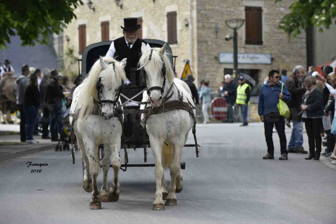 Défilé de calèches de 1900 dans les rues de Villeneuve d'Aveyron le 15 mai 2016 - Attelage en paire chevaux APPALOOSA - calèche 4 roues  - 