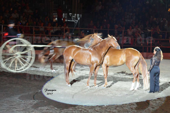 Féria de BEZIERS 2017 - Spectacle "Nuits Equestres" - 7