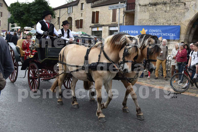 Défilé de calèches anciennes dans les rues de Villeneuve d'Aveyron  le 09 Juin 2019 - Chevaux en paire