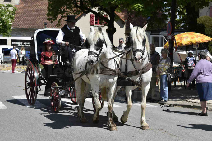 Défilé de calèches de 1900 dans les rues de Villeneuve d'Aveyron le 15 mai 2016 - Attelage en paire chevaux APPALOOSA - calèche 4 roues  - 6