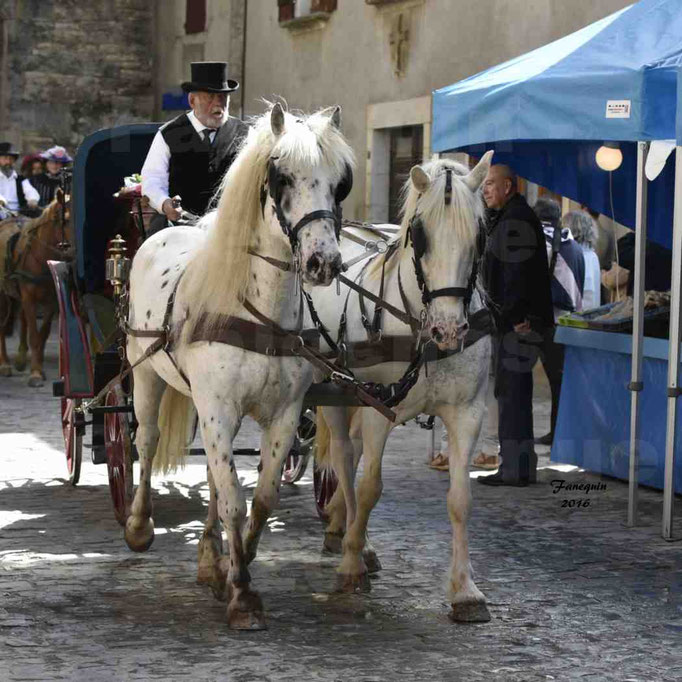 Défilé de calèches de 1900 dans les rues de Villeneuve d'Aveyron le 15 mai 2016 - Attelage en paire chevaux APPALOOSA - calèche 4 roues  - 4