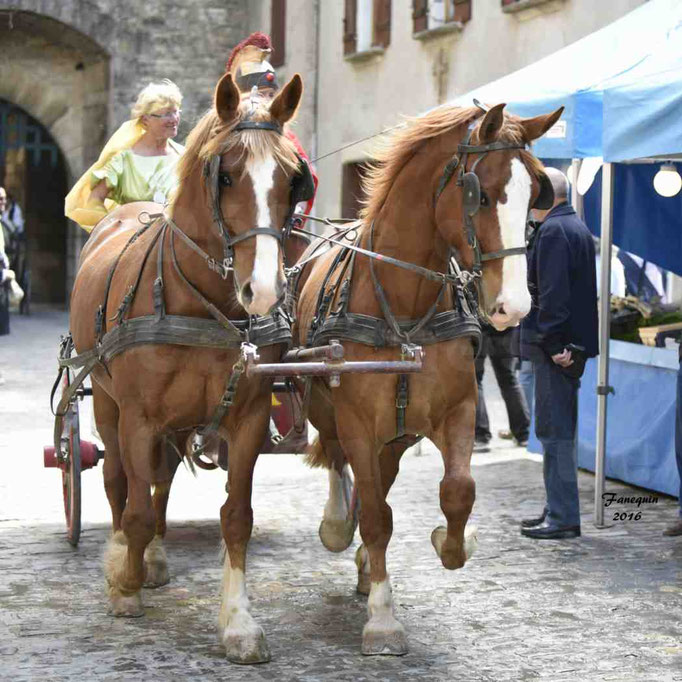 Défilé de calèches de 1900 dans les rues de Villeneuve d'Aveyron le 15 mai 2016 - Attelage en paire chevaux Trotteur - calèche 4 roues - 4