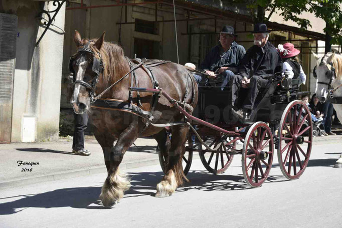 Défilé de calèches de 1900 dans les rues de Villeneuve d'Aveyron le 15 mai 2016 - Attelage simple de cheval lourd - calèche 4 roues roues rouge - 6