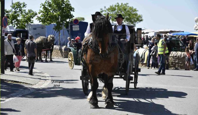Défilé de calèches de 1900 dans les rues de Villeneuve d'Aveyron le 15 mai 2016 - Attelage simple de cheval lourd - calèche 4 roues roues fermé - 8