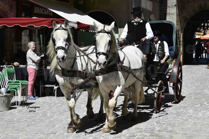 Défilé de calèches de 1900 dans les rues de Villeneuve d'Aveyron le 15 mai 2016 - Attelage en paire chevaux APPALOOSA - calèche 4 roues  - 8