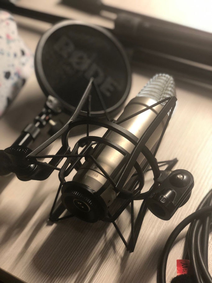 Mein 2. Mikrofon :)