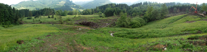 Der mittlere Teil der Hangrutschung ca. 800 Meter breit.
