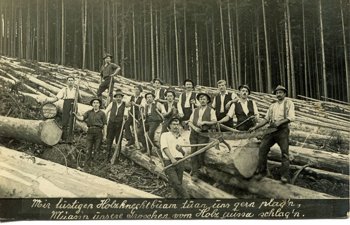 Holzschlägerung anno dazumal