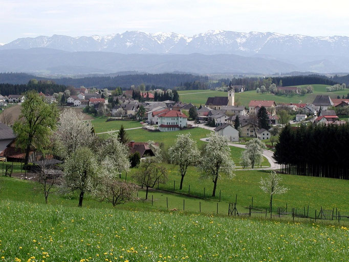 Frühling in <b><a href="http://www.neukirchenandervoeckla.at">Neukirchen an der Vöckla</a></b>