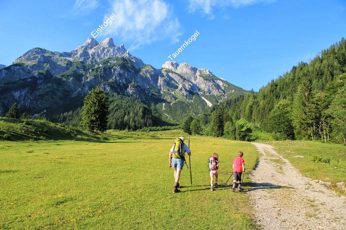 Gegen 19 Uhr wandern wir von der Wengerau Richtung Dr. Heinrich Hackelhütte