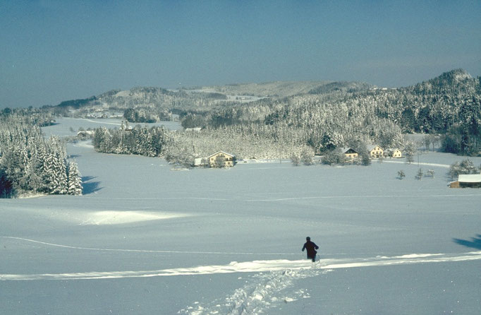 Winterliche Spöck