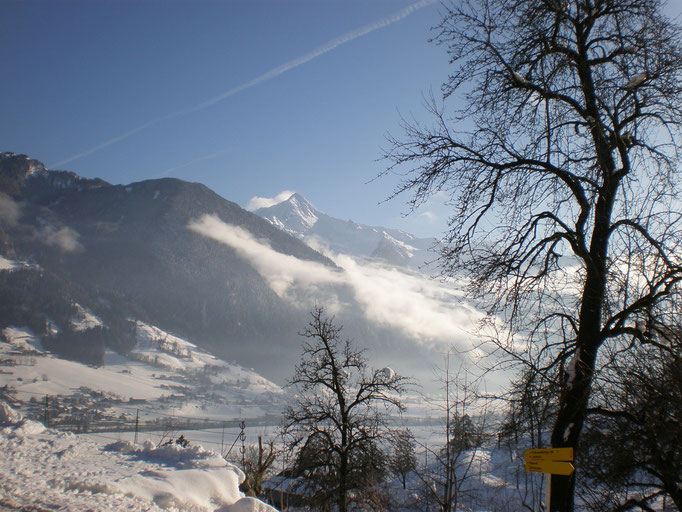 Ausblick vom Garten, Richtung Mayrhofen
