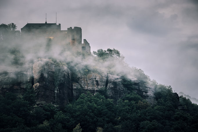 Burg Nideggen - Nideggen Düren im Nebel 