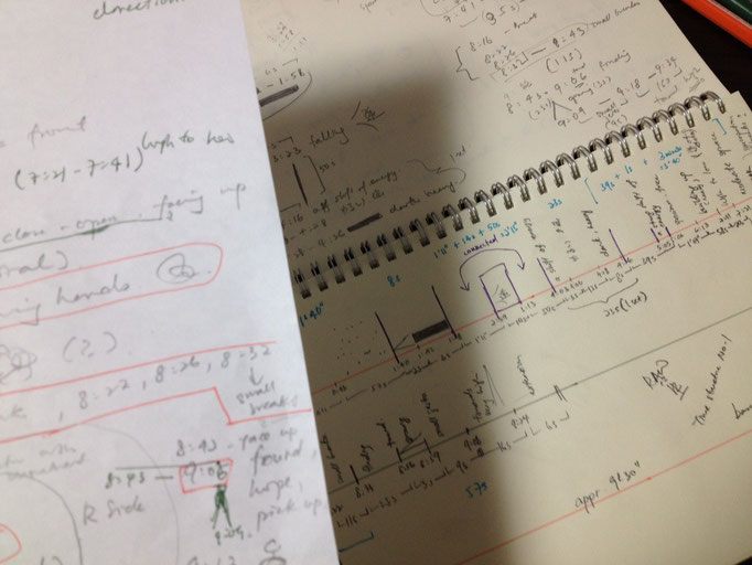 Sketches for RAW (2013)