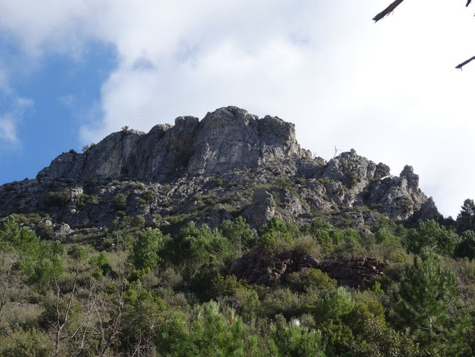 Cerro de las Salegas Anchas