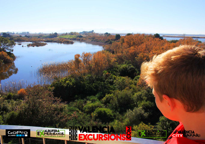 Vista de La Albufera en Albufera Experience 4x4 tour. Descubre la Albufera conduciendo un todoterreno co Valencia Excursions