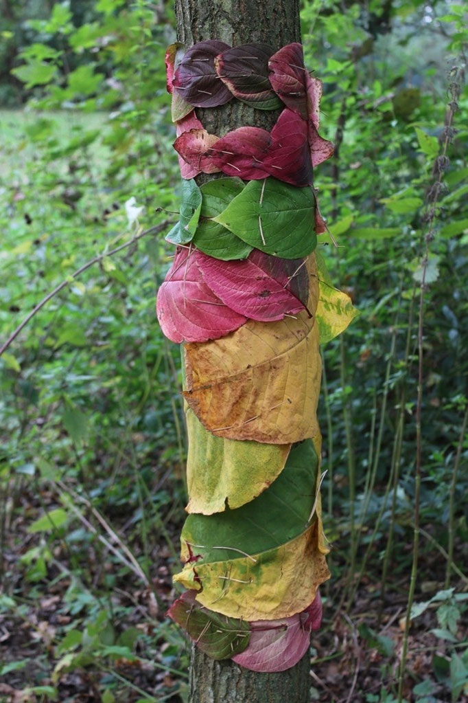 Landart, Baum mit Blättern umwickelt