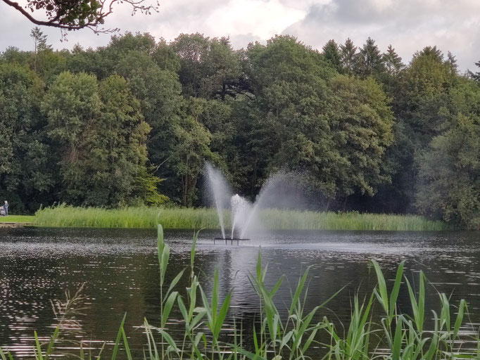 Fotos vom Family-Event im Gesundheitspark, Speckenbüttel '23