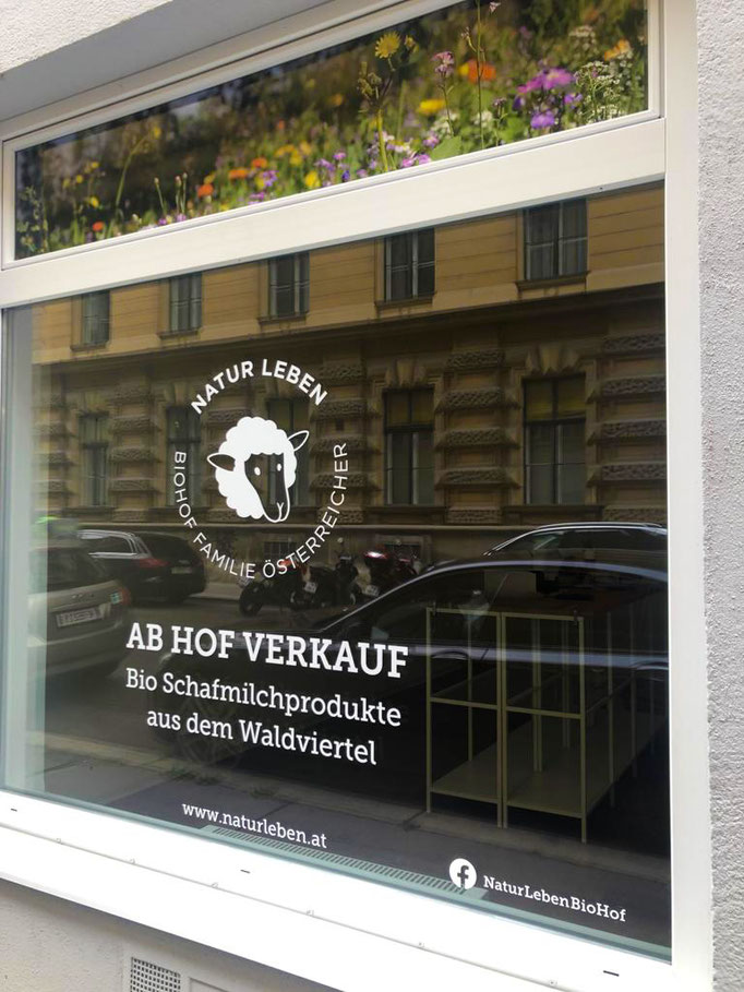 Ab Hof Verkauf mitten in Wien