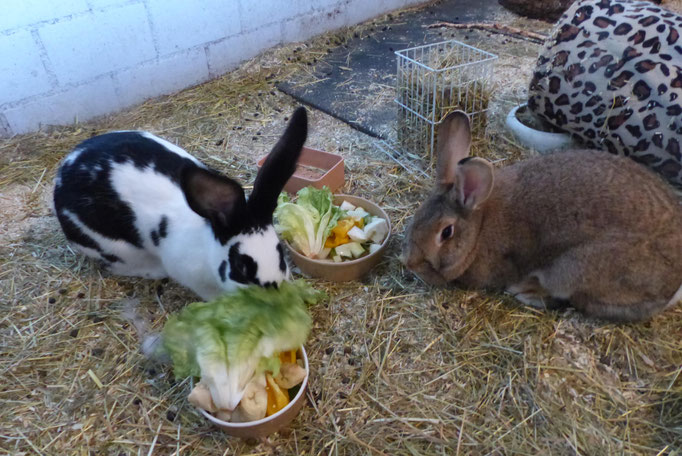 Fanny und Freya