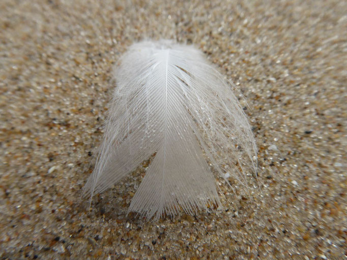 Feder auf Sand in Form eines Engels