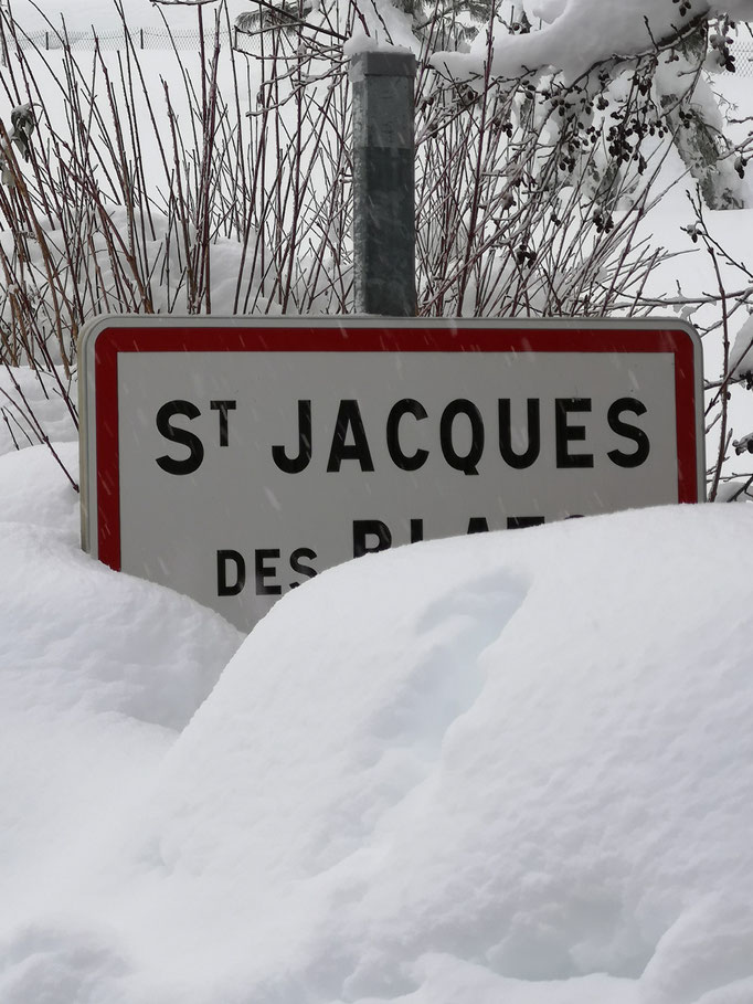 Saint Jacques des Blats Cantal