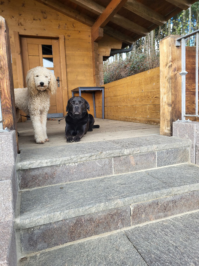 Archie und Brax
